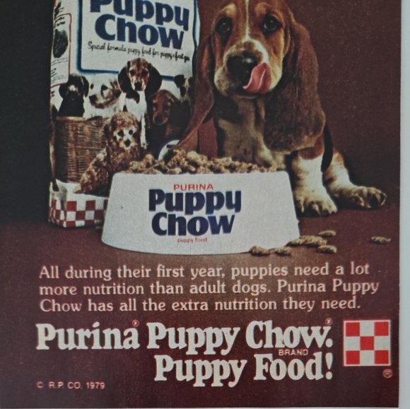 1980 Purina Puppy Chow Dog Food Ad - Don't Treat Your Puppy Like A Dog - Picture 6 of 8